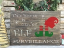 14x20-Elf-Surveillance