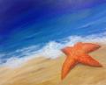 Starfish-Now just $25 for our Grand Opening!